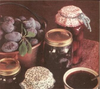 Make an Easy Wild Plum Jelly Image